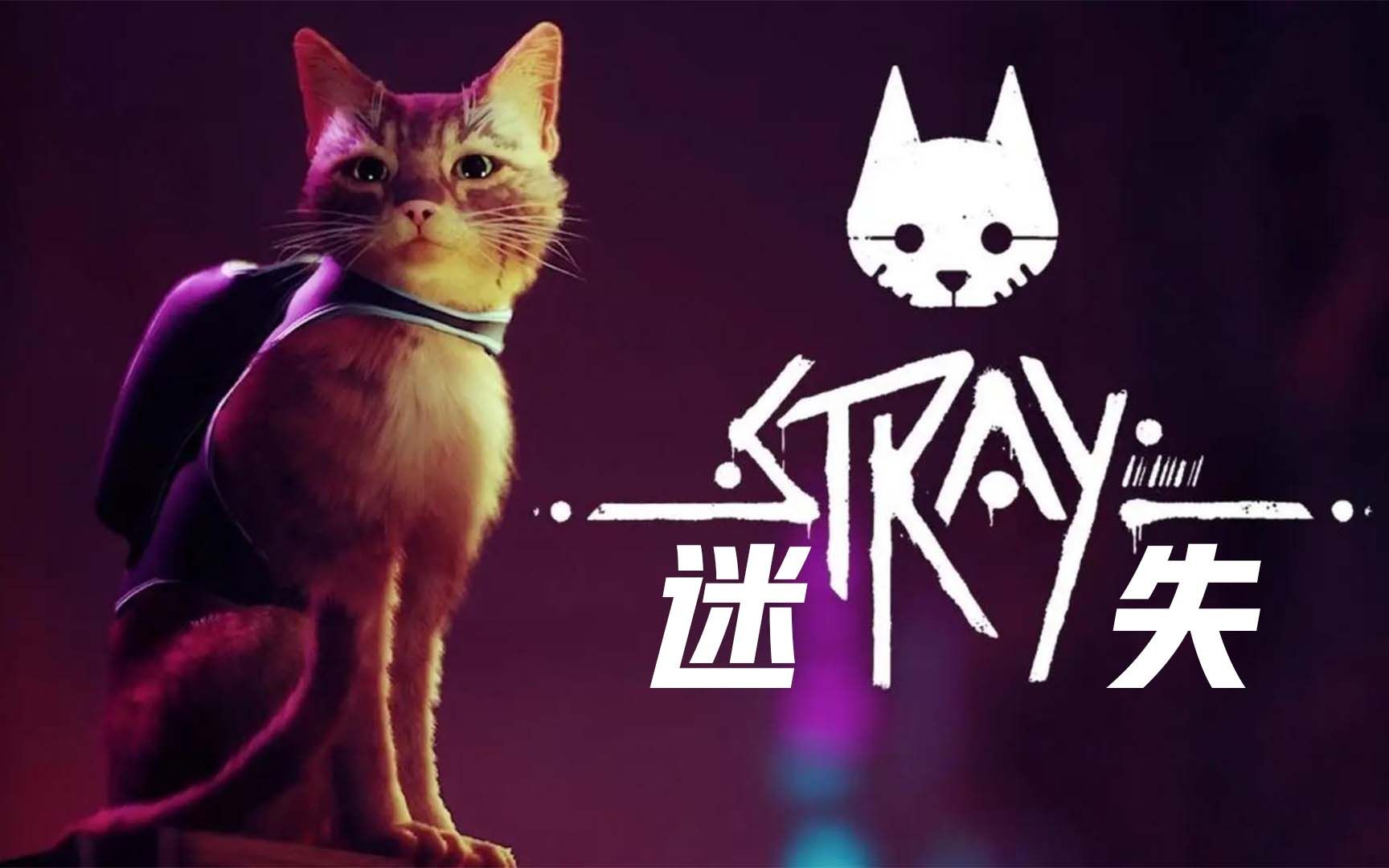 迷失 - Stray-螃蟹最爱横着走